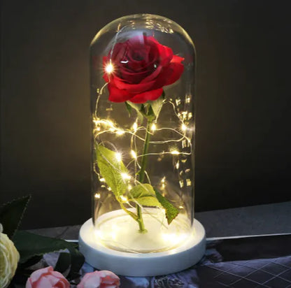 Glass Shade Rose Lamp