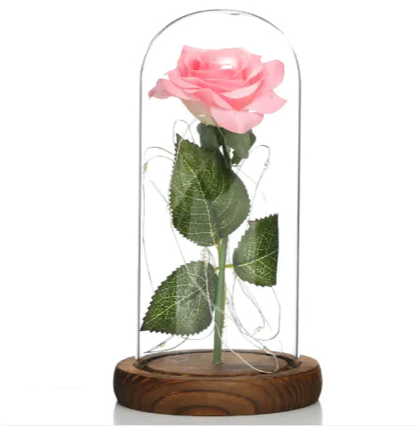 Glass Shade Rose Lamp