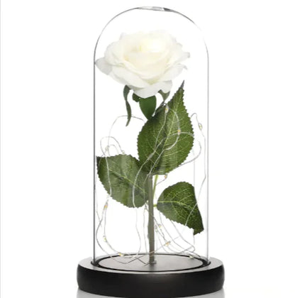 Glass Shade Rose Lamp