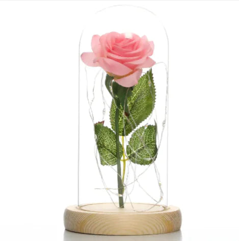 Glass Shade Rose Lamp