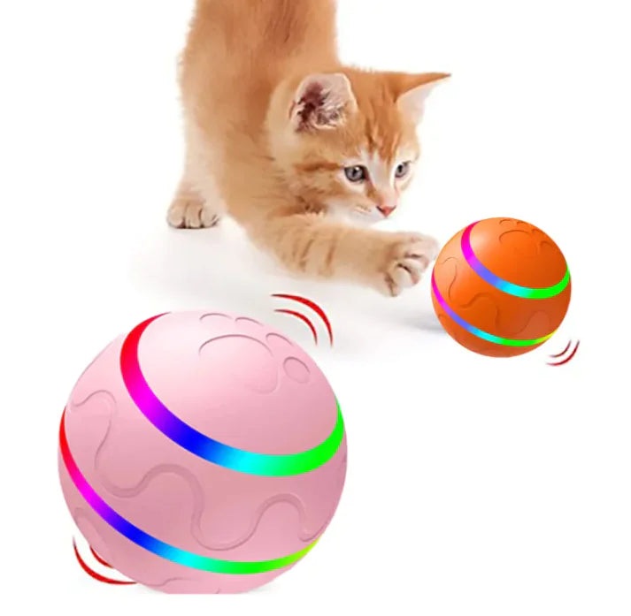 Smart Play Cat Ball Toy