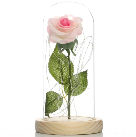 Glass Shade Rose Lamp