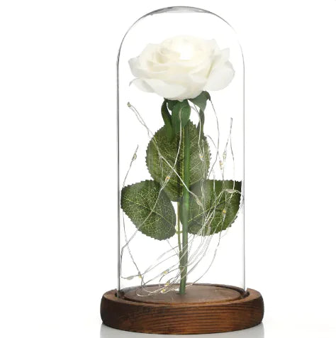 Glass Shade Rose Lamp